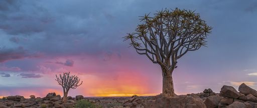 A panoramic view of the Quiver Tree National Park sunset under a stormy sky
