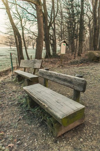 A vertical picture of wooden benches surrounded by greenery with the sea on the background