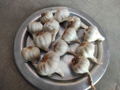 A closeup shot of garlic heads on a plate
