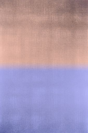 A vertical backdrop with pink and blue colors gradient