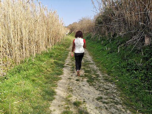 A back view of a female walking in nature