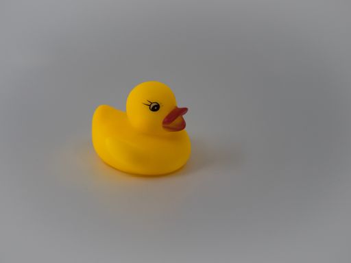 A closeup shot of a rubber yellow duck on white background
