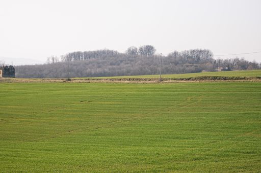 A beautiful view of a countryside green field