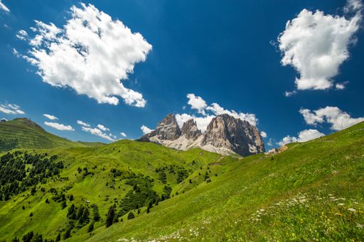 A beautiful shot of grassy hills and mountains in the distance under a blue sky