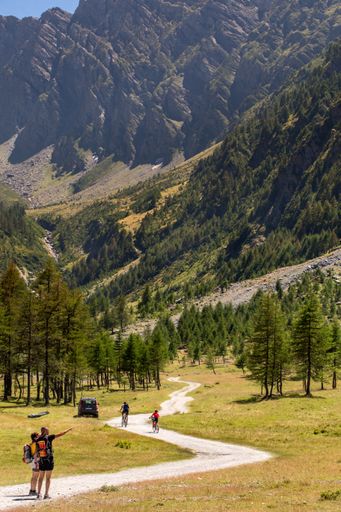 A vertical shot of people walking on a  pathway towards the mountains