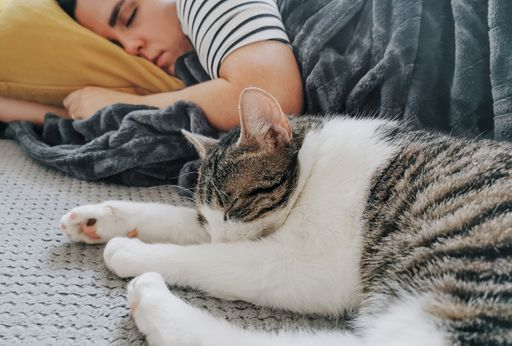 A young Caucasian woman sleeping on a couch with a fluffy cute cat under a warm blanket