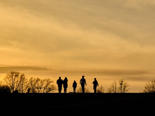 The silhouette of a happy family walking in the meadow during a scenic sunset