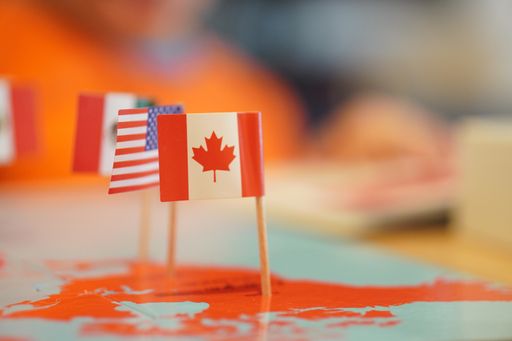 A selective focus shot of North American country flag pins pinned on a flat map