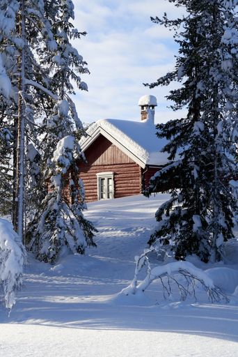 A vertical shot of a house in the forest covered in snow