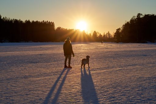 A closeup shot of a person walking with the dog in the forest in winter at sunset