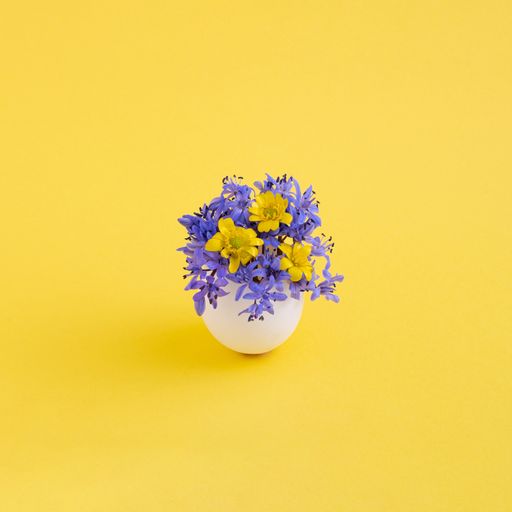 A closeup shot of an eggshell with beautiful colorful flowers isolated on the yellow background