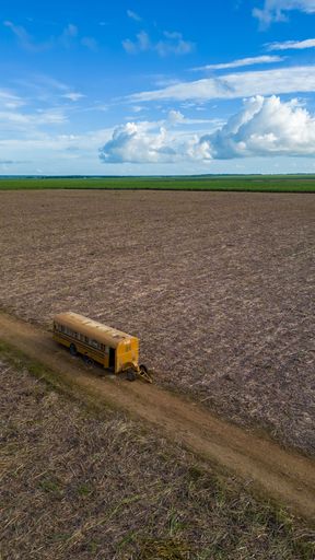 An aerial view of a broken-down yellow bus on a trail through a sugar cane plantation
