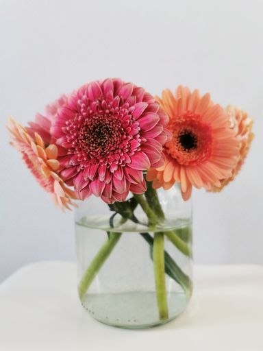A vertical shot of beautiful Gerbera flowers in a transparent vase