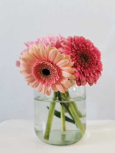 A vertical shot of beautiful Gerbera flowers in a transparent vase