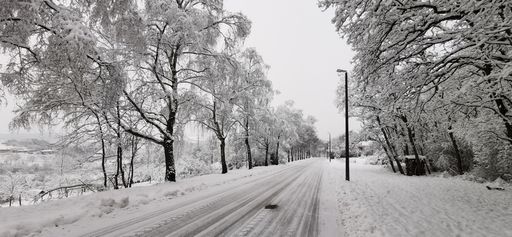 A snowy road on a winter day