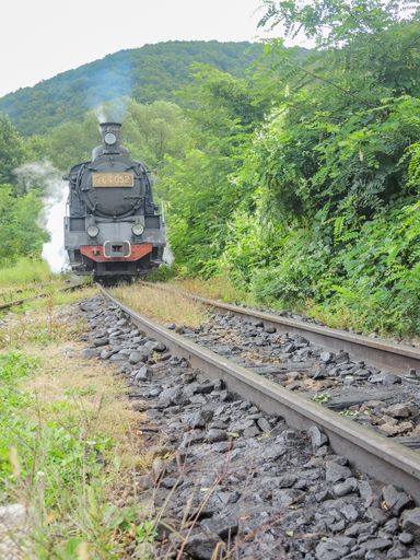 narrow gauge rail track known as mocanita, in sovata, romania
