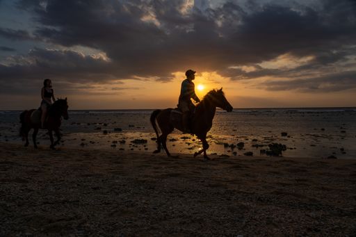 The silhouettes of people riding horses in the beach during the sunset
