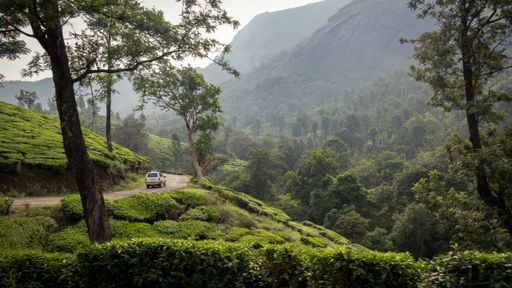 A beautiful shot of a car in the road near the beautiful view of the forest