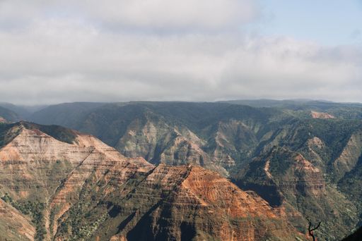 An overlooking view of waimea canyon state park in USA
