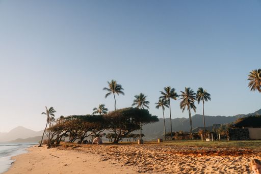 A beautiful shot of a sandy beach with green trees and a small house with a clear blue sky in the background