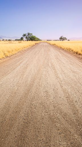Desert gravel road with vanishing point displaying the way forward. 9:16 smartphone format or vertical banner. Beauty in nature