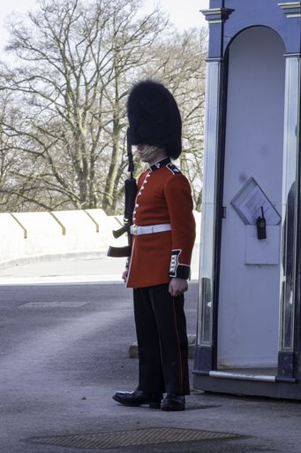 A soldier on sentry duty at Windsor Castle
