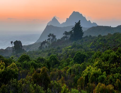 A beautiful shot of the sunset over the forested mountain and the sea in Cape Peninsula, South Africa