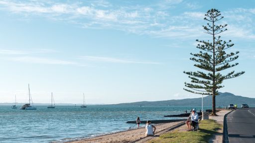 View of Bucklands Beach with people and Norfolk pine tree from The Parade. Rangitoto Island in background.