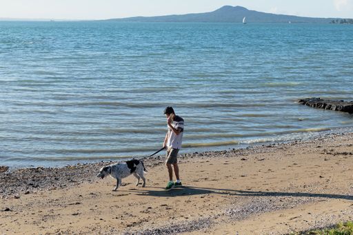View of man talking on cell phone and walking dog at Bucklands Beach with Rangitoto island in background