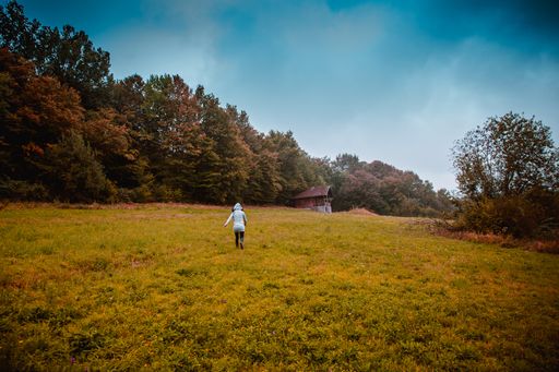 A beautiful shot of a glade in the forest and a woman running through it in a