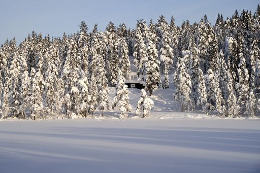 A beautiful shot of a house surrounded by trees in a snowy winter field in Buskerud, Norway