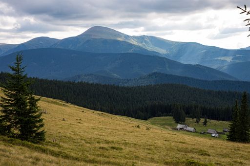A beautiful shot of old houses in a meadow on top of a hill with a view of tree-covered mountains