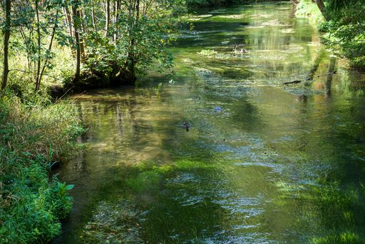 The river flowing through a park created for recreation in Bavaria, Germany