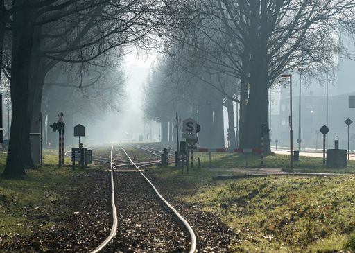 A wide angle shot a railway going through the forest