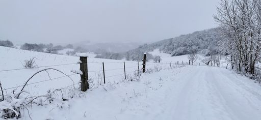 A snowy road surrounded by a fence with wires in winter