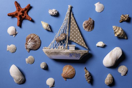 A top view of a toy sailboat, sea shells and starfish on a blue background