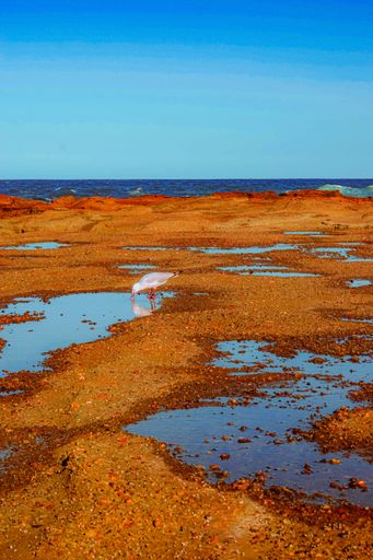 A vertical shot of a sandy seashore with rocks near the wavy sea