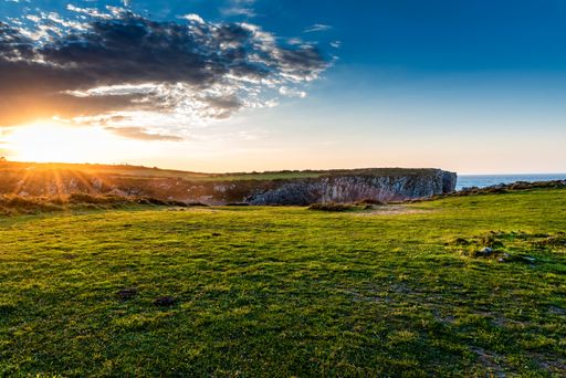 The mesmerizing view of the fields near the ocean during sunrise