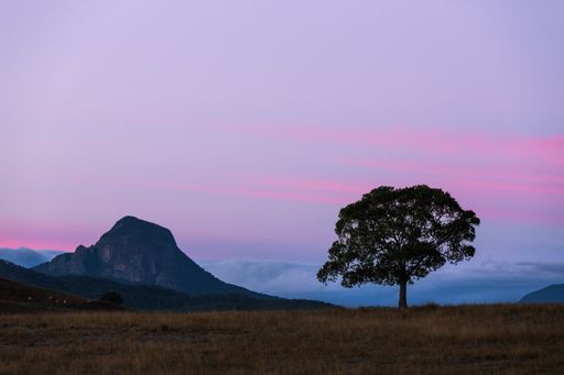 A beautiful pink sunrise at the Great Dividing Range, Queensland, Australia