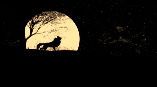 Wolf howling during full moon night, A howl can communicate things like a wolf’s location, warnings about predators, and the position of prey.