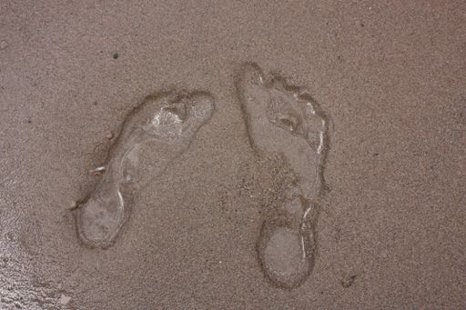 A top view of footprints on the sandy shore