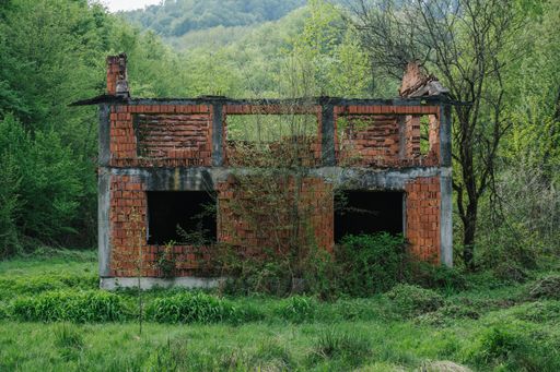 A beautiful shot of an old brick building in the forest