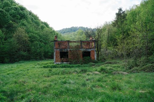 A low angle shot of an old brick building in the forest