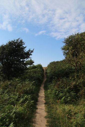 A Vertical long shot of a narrow dirt path leading to the top of a hill with greenery on the side