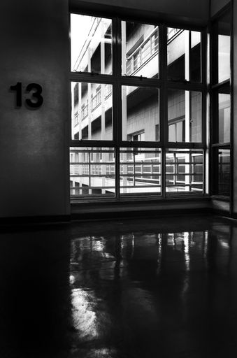a grayscale shot of the thirteenth floor of a building with large partitioned windows