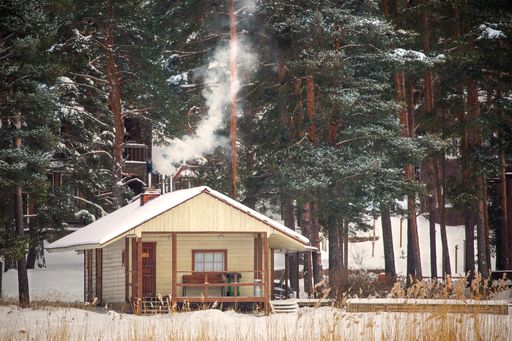 the wooden house with tall trees in wintertime