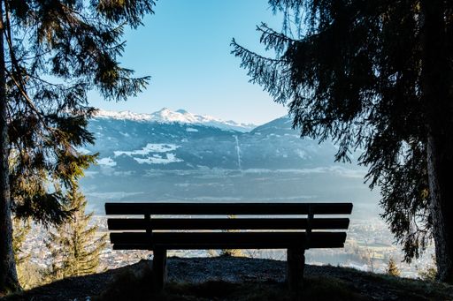 A wooden bench surrounded by greenery and rocks covered in the snow under the sunlight