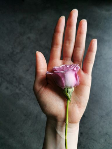A top view of a beautiful purple flower in the hand on a blurred background
