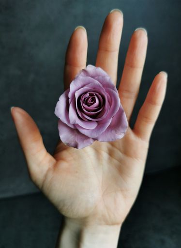 A top view of a beautiful purple flower in the hand on a blurred background