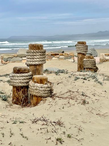 A vertical shot of wood pilings in the beach sand with a rope tied around with the ocean waves in the background